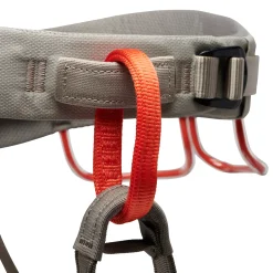Men's Momentum Harness