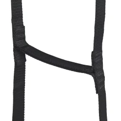 StepUp 6 Ladder