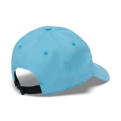 Synthetic Dad Hat