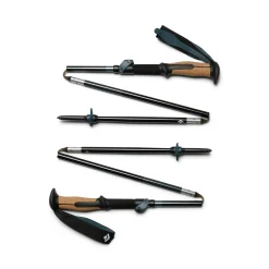 Trail Vista FLZ Trekking Poles