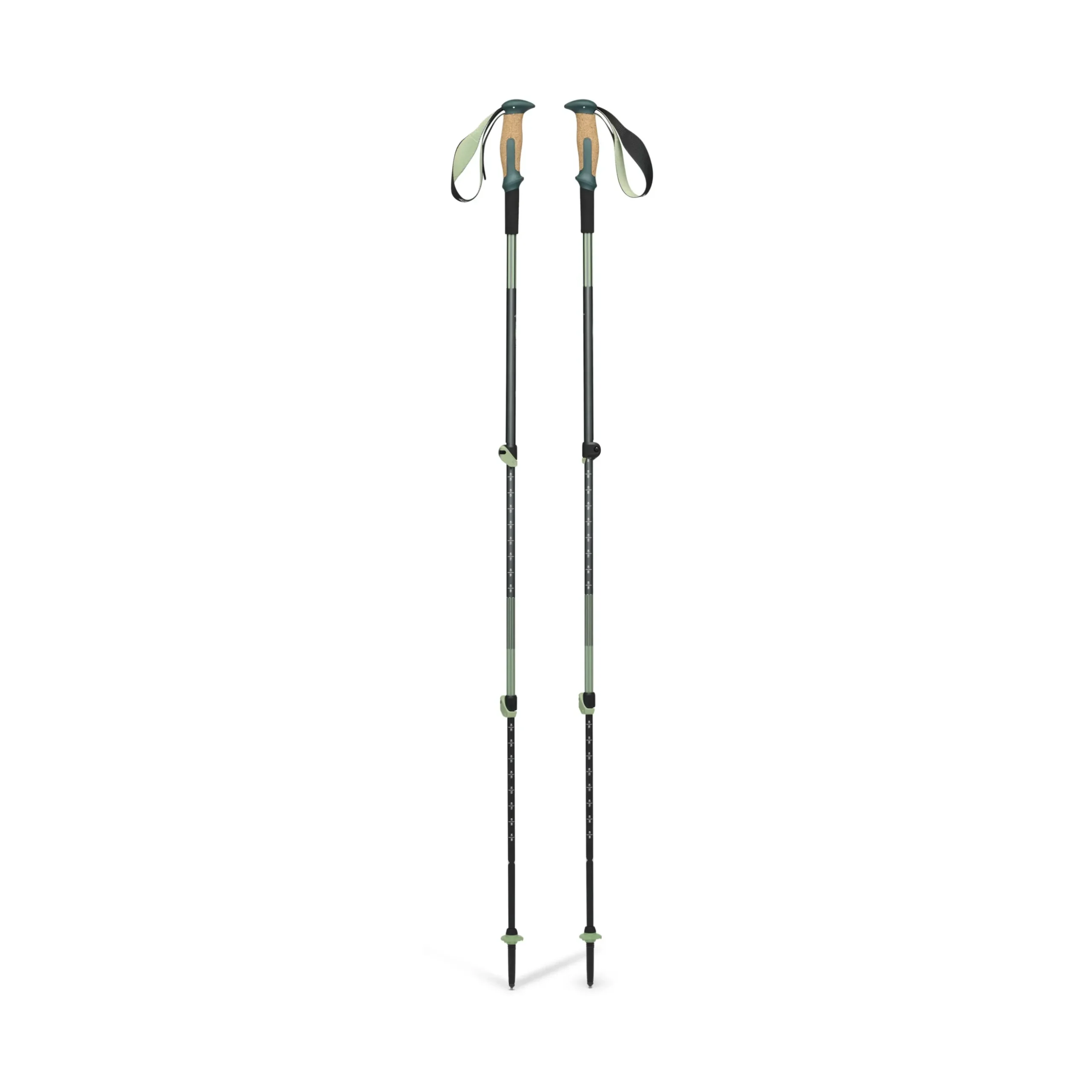 Trail Vista Shock Trekking Poles