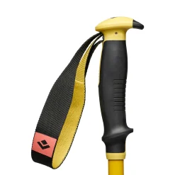 Traverse 3 Ski Poles