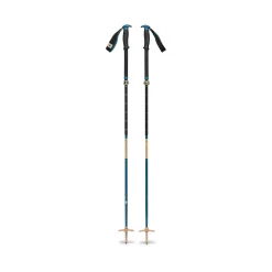 Traverse Compactor Ski Poles