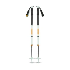 Traverse Pro Ski Poles