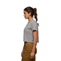 Women's BD Stripe Crop Short Sleeve Tee