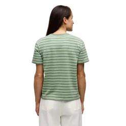 Women's BD Stripe Short Sleeve Tee Long