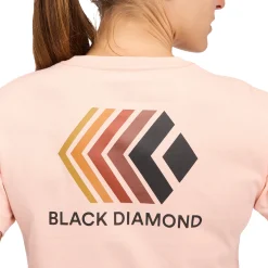 Women's Faded Crop Short Sleeve Tee