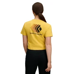 Women's Faded Crop Short Sleeve Tee